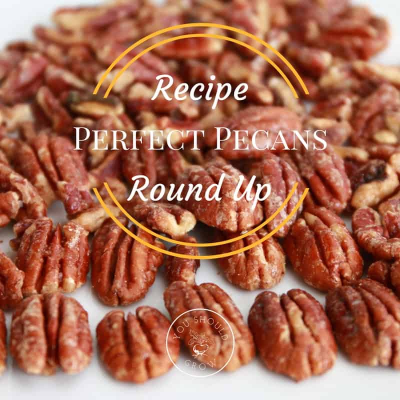 10 Ways To Eat Pecans Pecan Recipe Roundup You Should Grow
