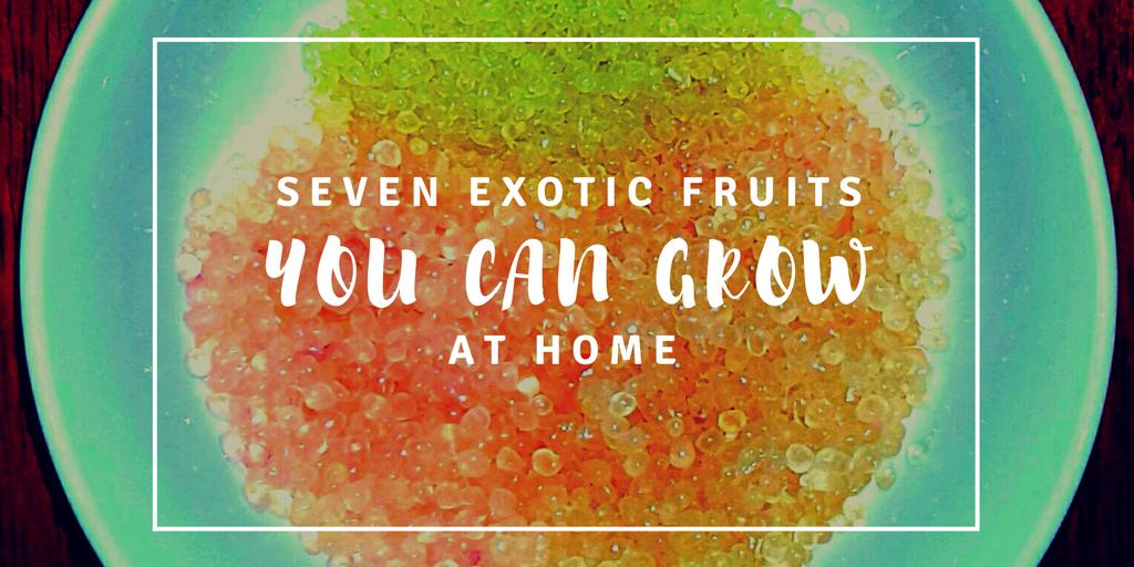 Exotic Fruits Grown in the USA You Should Grow