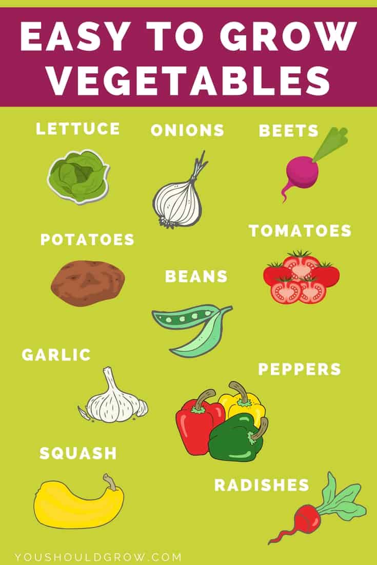 Infographic showing easy to grow vegetables: lettuce, onions, beets, potatoes, beans, tomaotes, garlic, peppers, squash, radishes