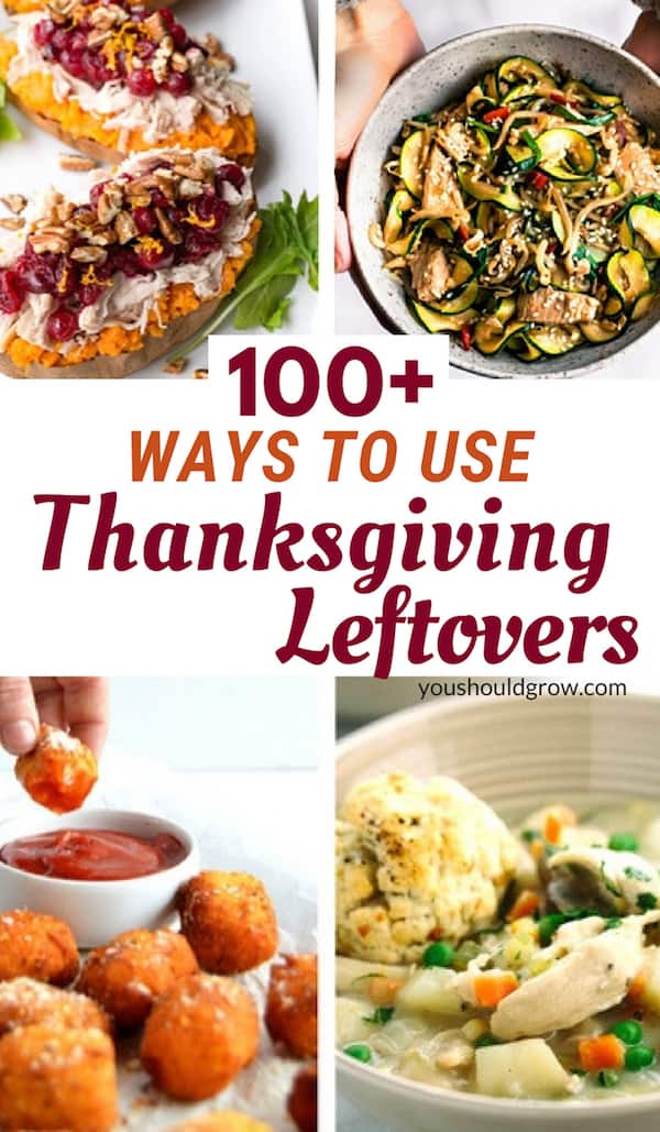 101 Thanksgiving Leftover Recipes For Every Meal - You Should Grow