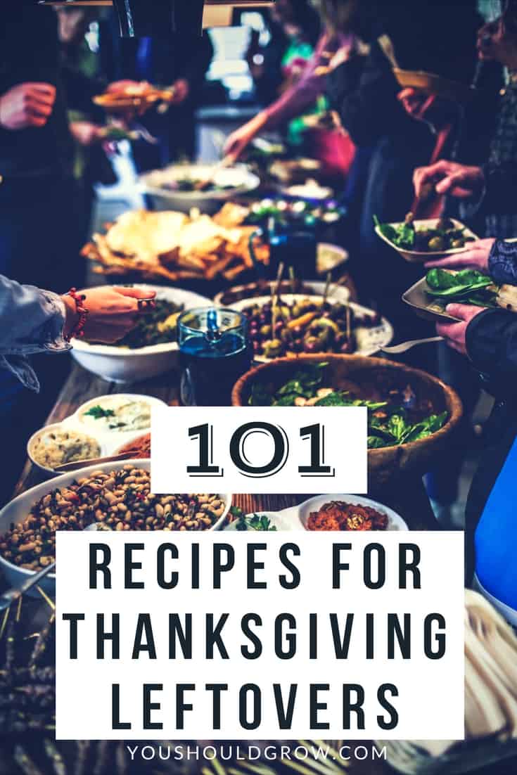 Looking for creative ways to use up Thanksgiving leftovers? Here are 101 recipes for breakfast, lunch, and dinner.
