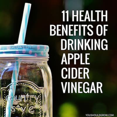 11 Health Benefits of Drinking Raw Apple Cider Vinegar