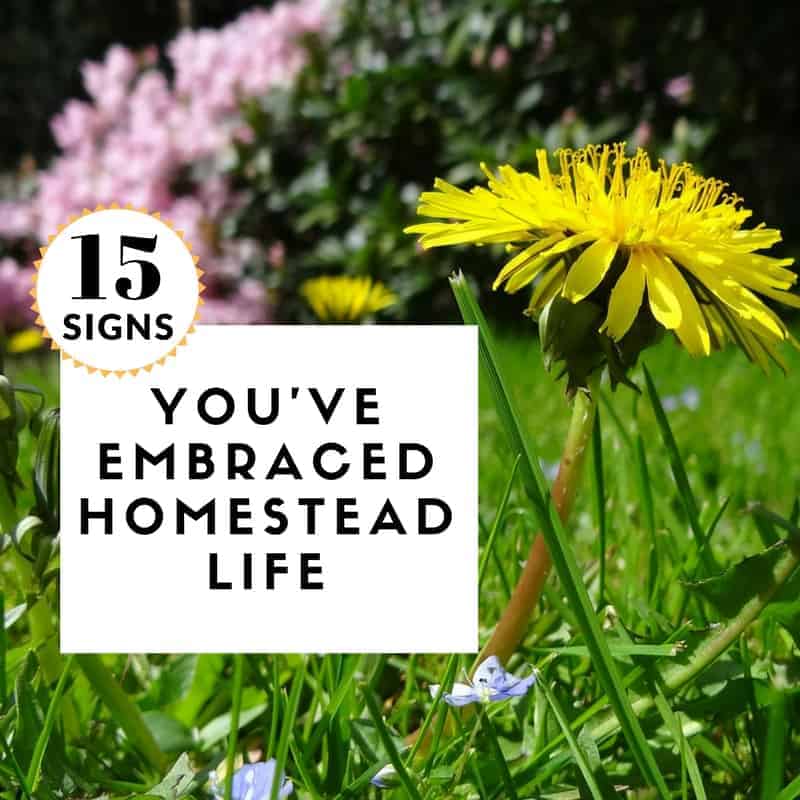 15 Signs You’ve Embraced Homestead Life