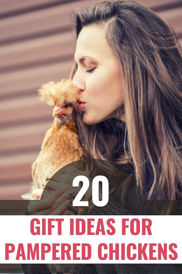Woman kissing fluffy chicken text: 20 gift ideas for chickens pin