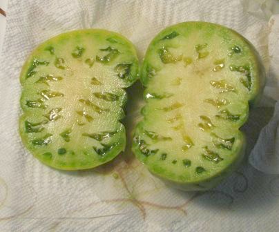 Aunt Ruby's German Green Tomato. A green when ripe tomato.