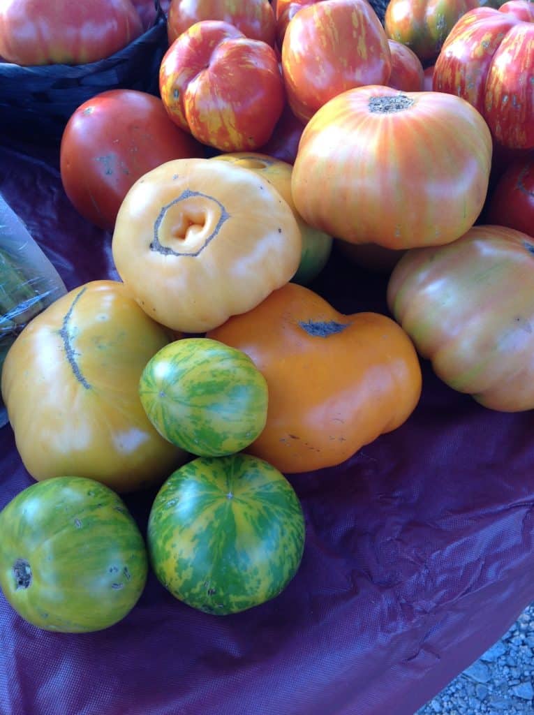 Rainbow of tomatoes