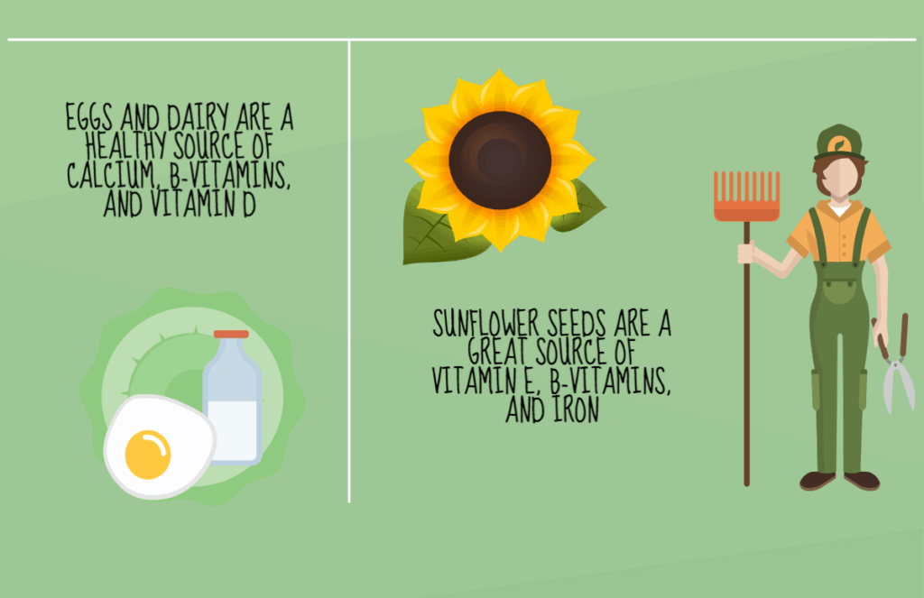 Eggs, dairy, and sunflower seeds are healthy sources of B-vitamins and minerals.