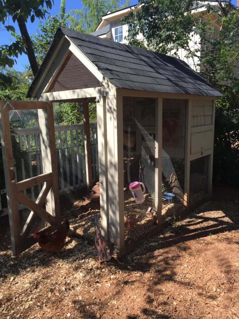 Super adorable chicken coop in a suburban backyard.