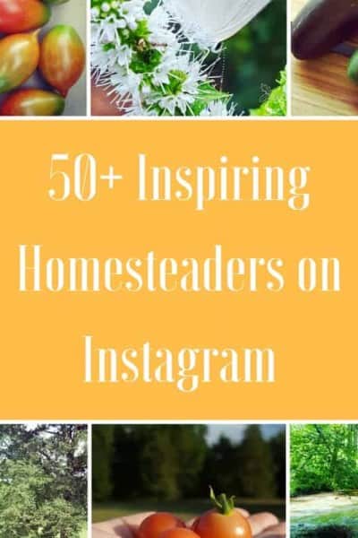 50+ Inspiring Homesteaders on Instagram