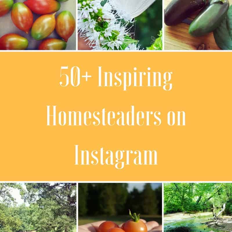 The Big List of Homesteaders To Follow On Instagram