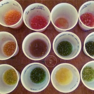 Why Gardeners Are Obsessed With Seed Saving - You Should Grow