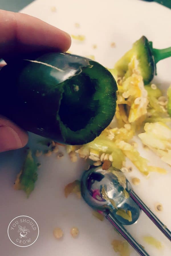 Cooking with jalapeno pepper