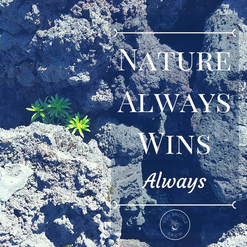 Nature always wins. Always.