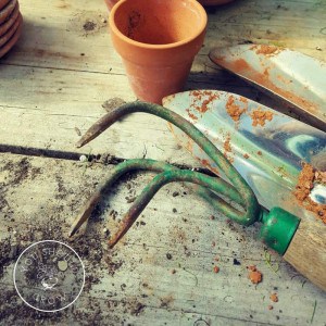 How to choose the right garden tools.