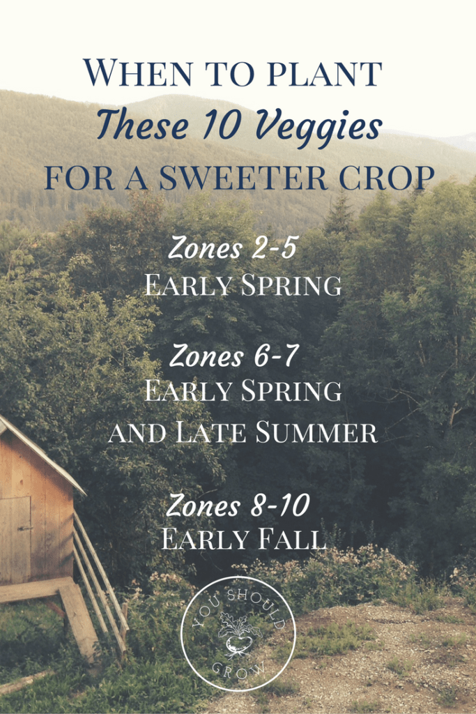 General guidelines for planting veggies that get sweeter after a frost at YouShouldGrow.com