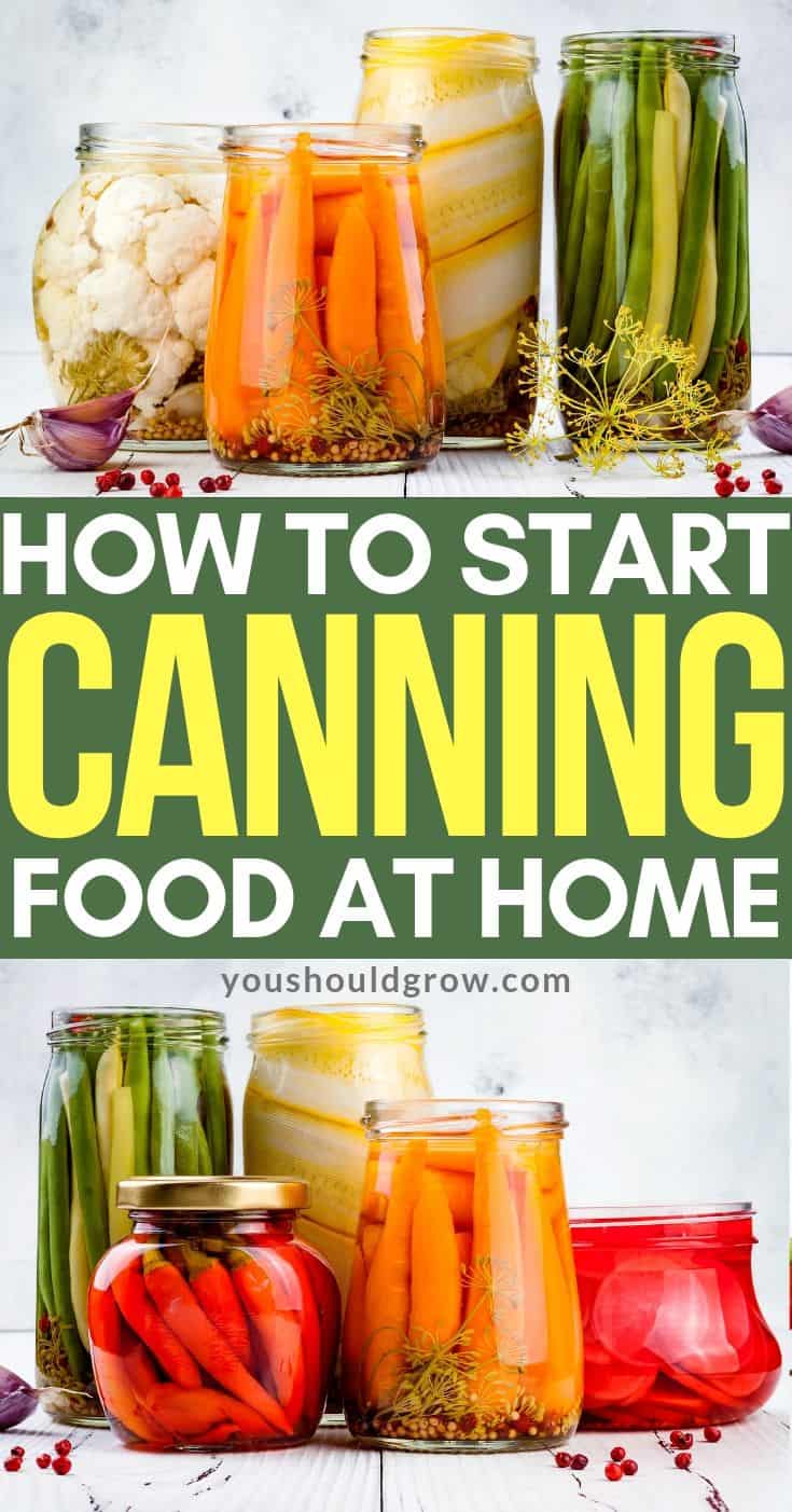 Ready to learn how to can your own food? Let's take a look at some of the most basic facts and essential supplies that you'll need to get started canning at home.