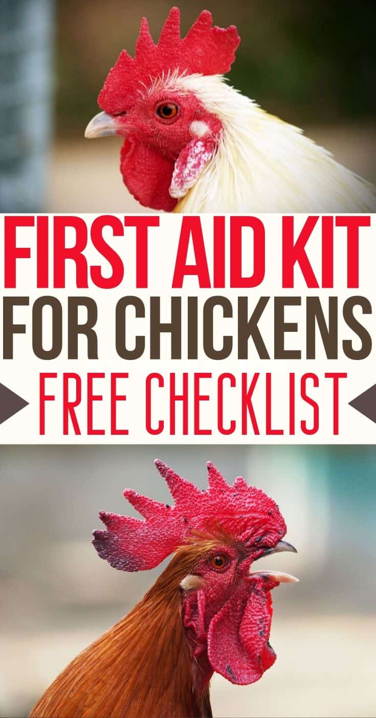 Backyard Chickens - Chickens Care - Keeping Chickens - First Aid Kit Checklist - Chicken Illness - Chicken Injuries - Chicken Coop Supplies - Homesteading 