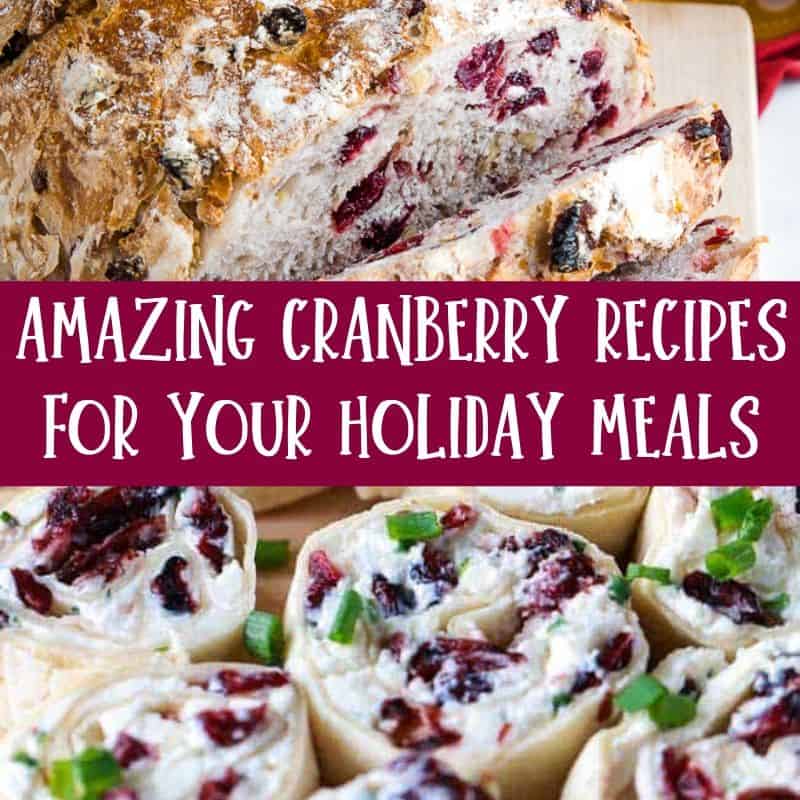 18 Amazing Cranberry Recipes For Your Holiday Meals