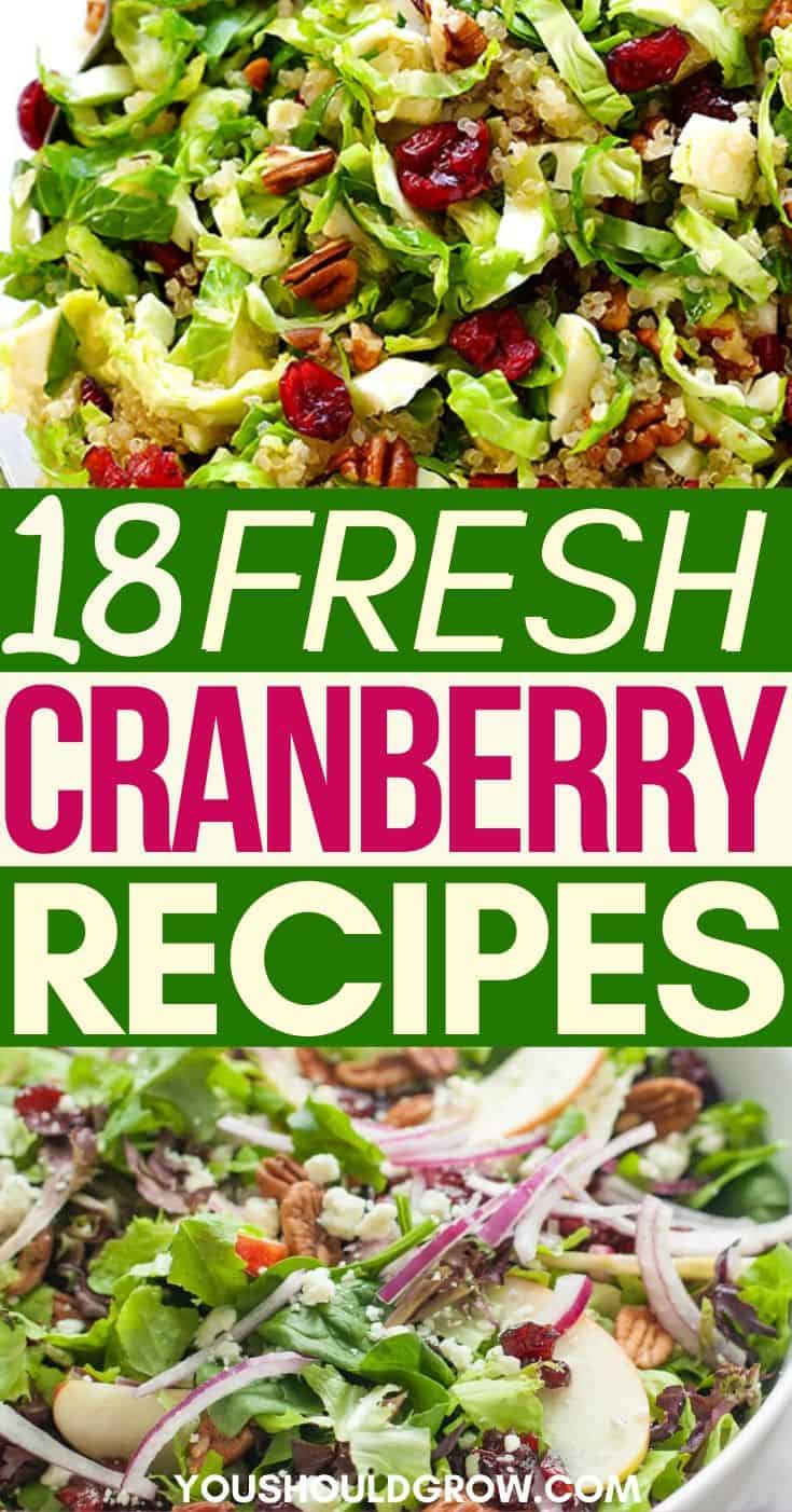 Cranberry Recipes - Recipes For Fresh Cranberries - Cooking With Cranberries - How To Cook Cranberries- What To Do With Cranberries - Ways To Use Up Craberries - Cranberry Sauce - Cranberry Relish - Cranberry Dessert - Savory Cranberry Recipes - Thanksgiving Cranberry Recipes - Christmas Cranberry Recipes - Cranberry Salad - Cranberry Bread - Cranberry Appetizer - Cranberry Dinner Dishes