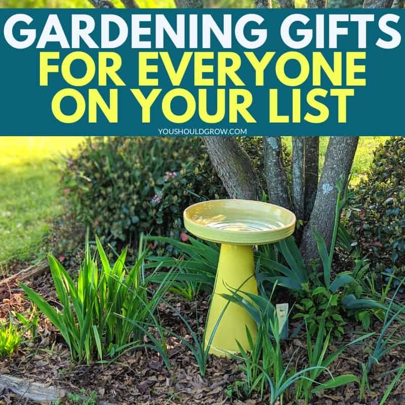Gifts For Gardeners: Ideas For Everyone On Your List