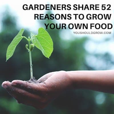 52 Reasons Why You Should Grow Your Own Food