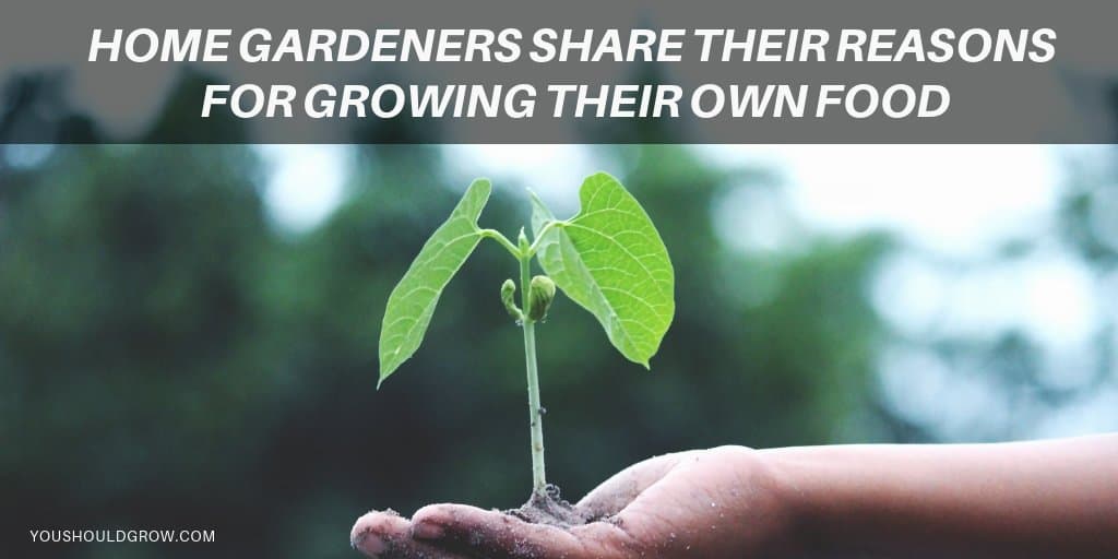52 Reasons To Grow Your Own Food twitter