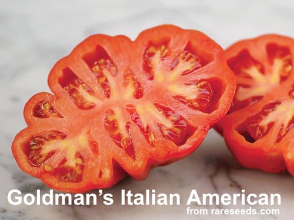Goldmans italian american tomato sliced in half