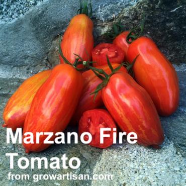 Cluster of marzano fire tomatoes on rock