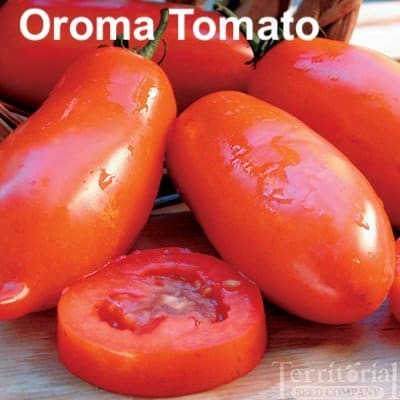 Oroma tomatoes