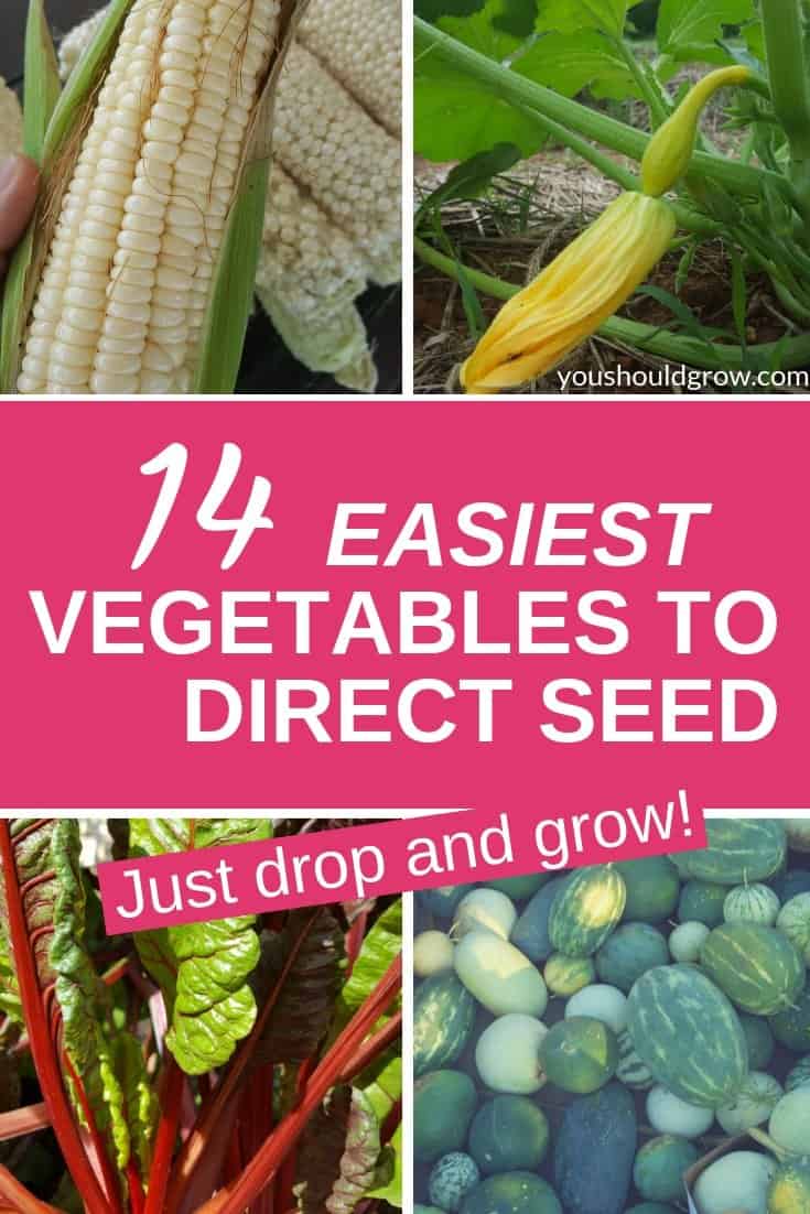 14 easiest vegetables to direct seed. Just drop and grow. Text overlay on collage of images of vegetables