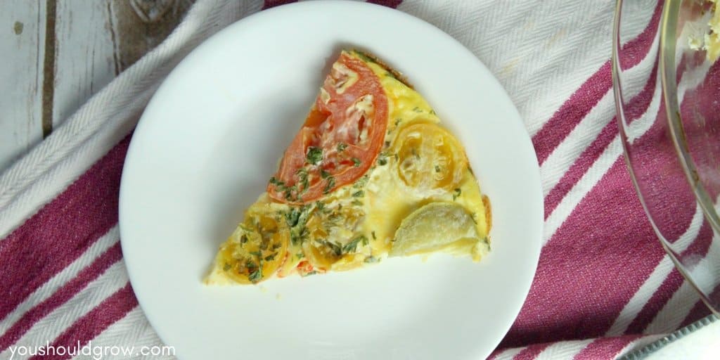 slice of tomato and basil frittata on a white plate