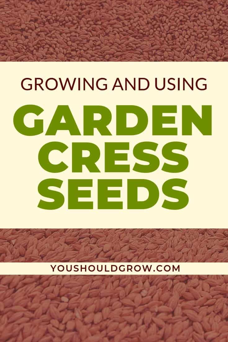stock image of seeds in background. Text overlay: growing and using garden cress seeds youshouldgrow.com
