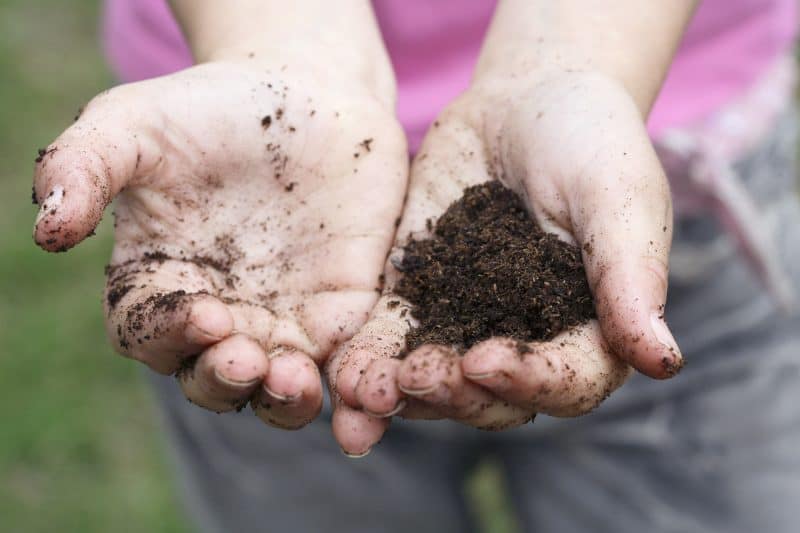 Gardening activities for preschoolers like two cupped hands filled with dirt.