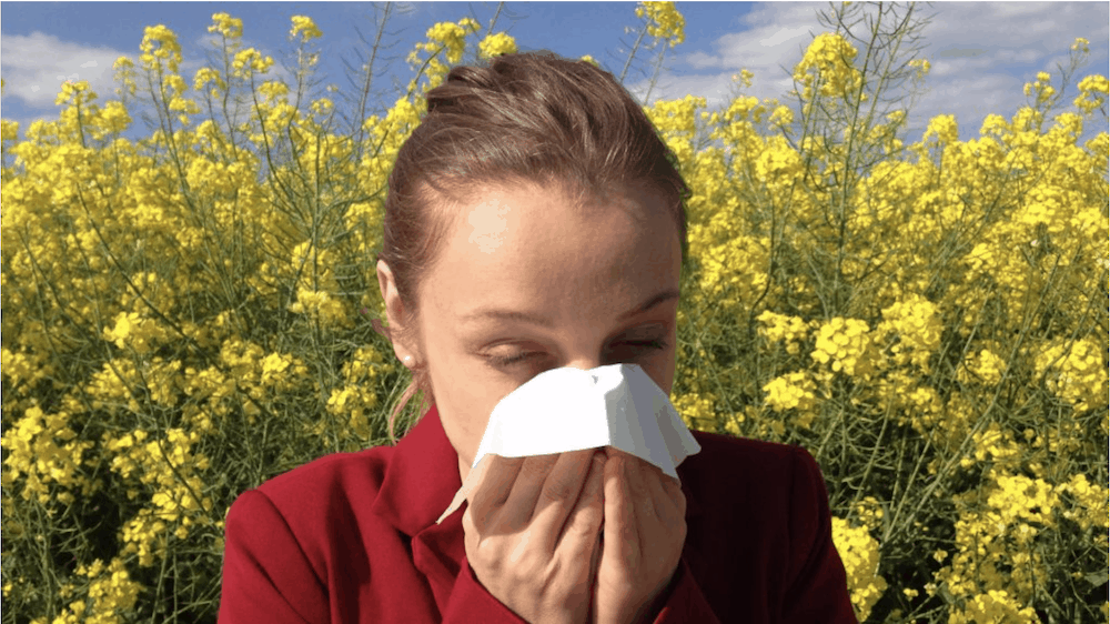 Girl with seasonal allergies sneezes 