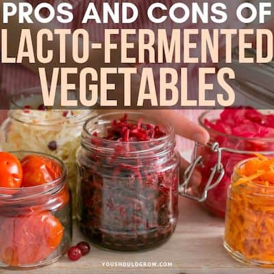 Lacto Fermented Vegetables: Should You Eat Them?