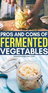 Lacto Fermented Vegetables: Should You Eat Them? - You Should Grow