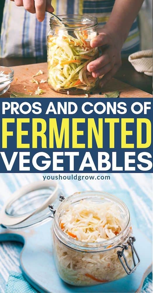 Fermented vegetables - pros and cons. Should you eat lacto-fermented vegetables? Find out if this healthy food is right for you.