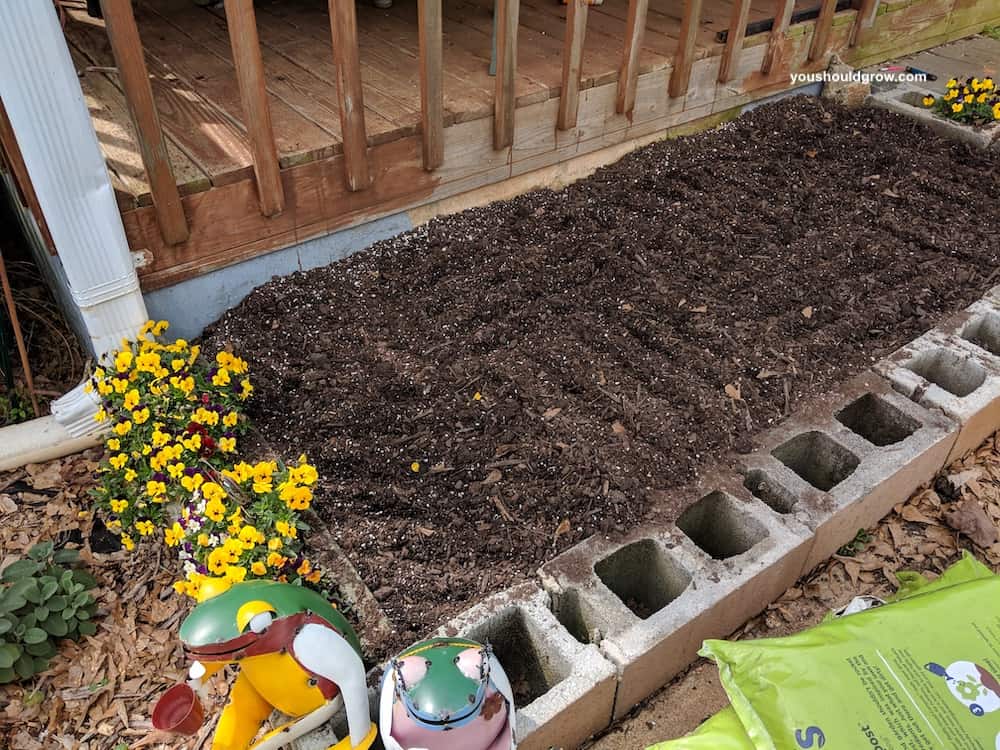 Drag rows in the soil to plant beet seeds.