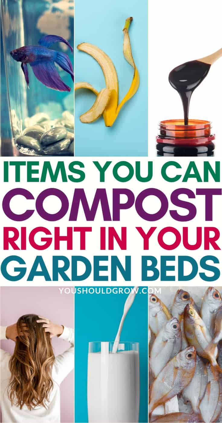 items you can compost right in your garden bed pinterest pin