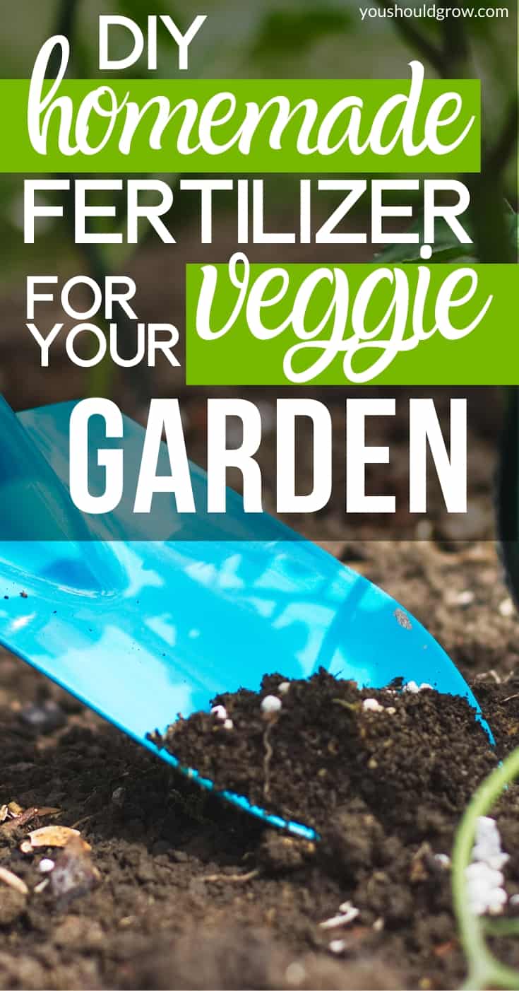 diy homemade fertilizer for your veggie garden pinterest pin