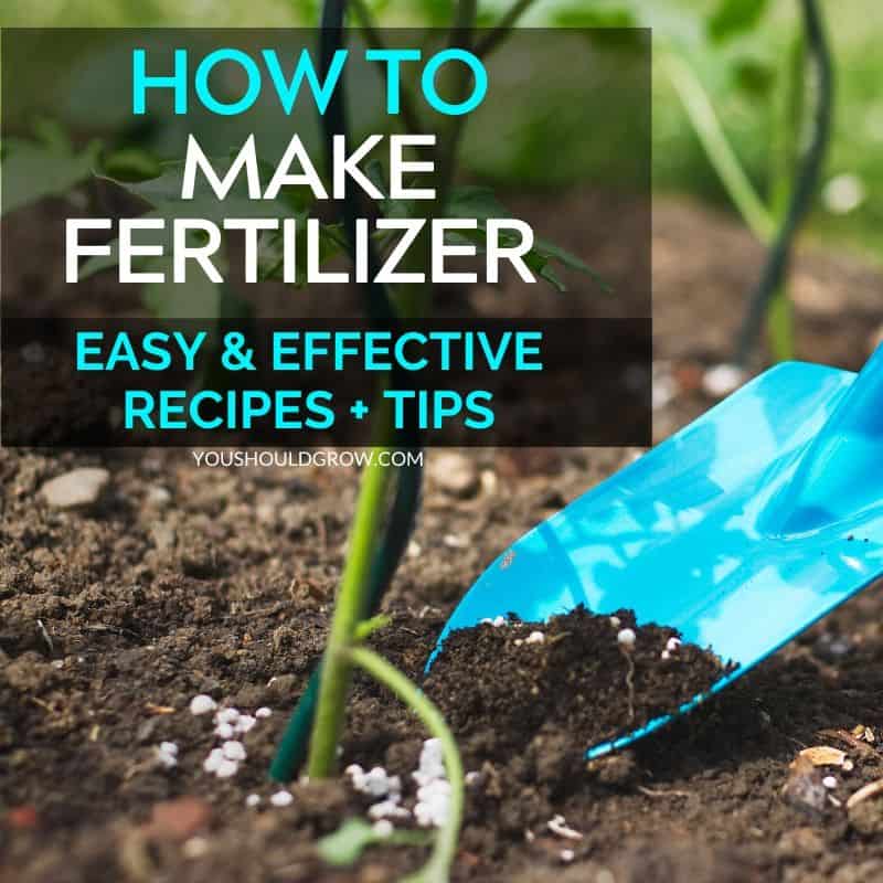 Boost Your Harvest With Homemade Fertilizers