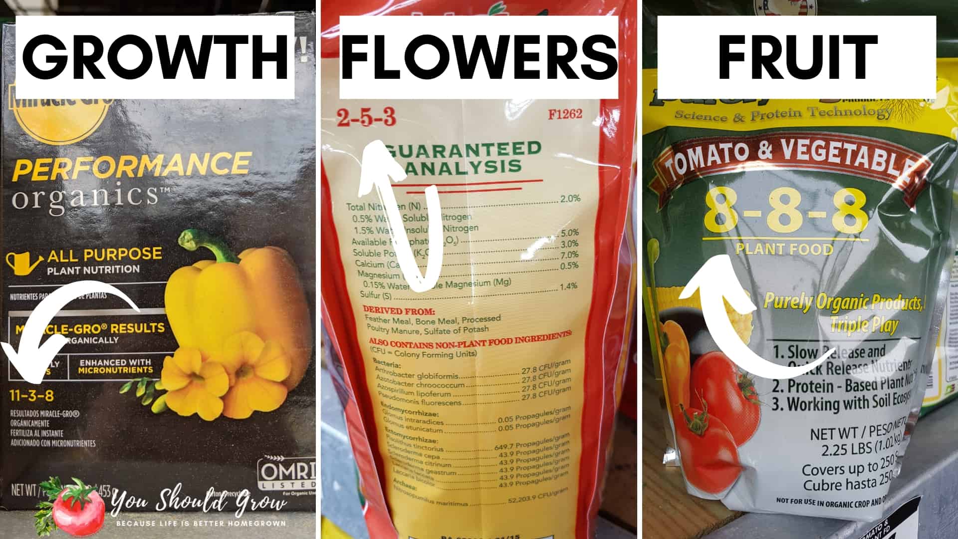 fertilizers for growing tomatoes