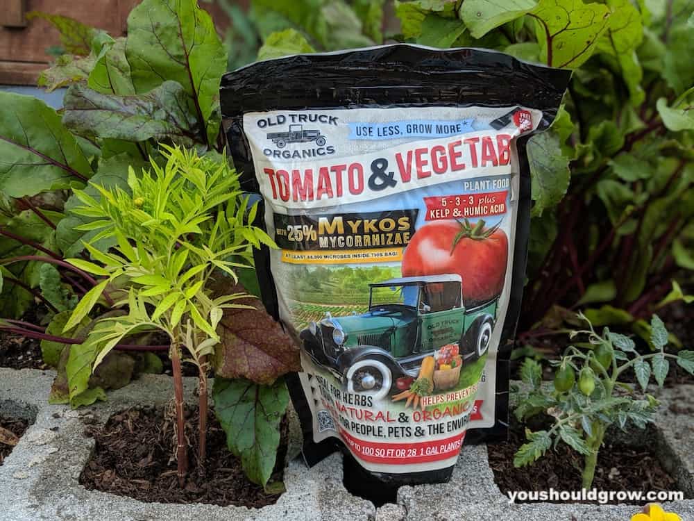 organic tomato fertilizer