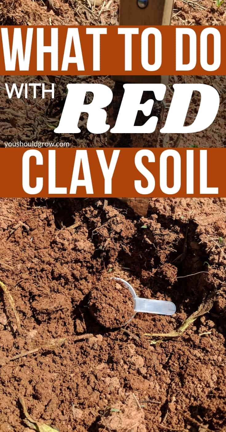 what to do with red clay soil pin