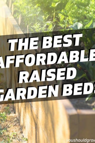 best raised garden bed featured image