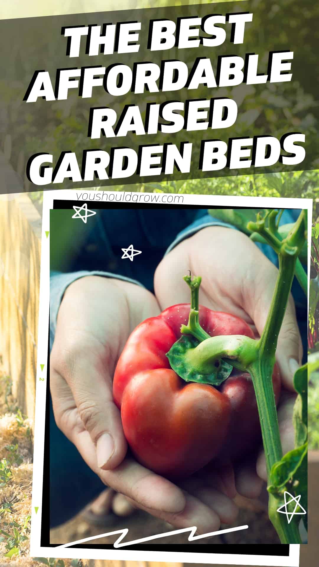 best raised garden bed pin