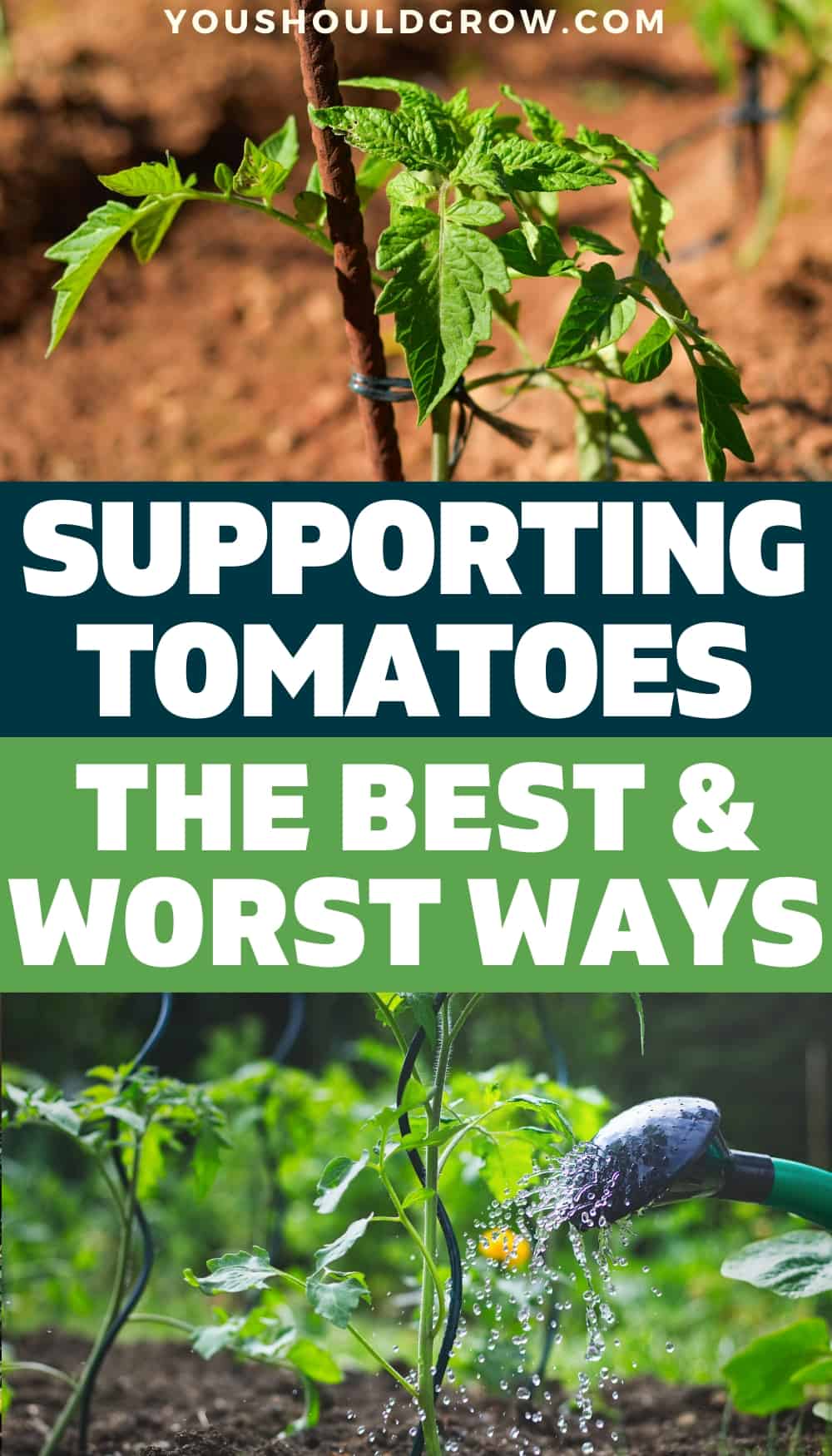 Growing tomatoes in your vegetable garden means you get to enjoy a summer full of your own organic tomatoes. Supporting tomatoes to keep them off the ground is the best way to keep healthy plants and get more tomatoes. Looking for tomato trellis ideas to try this season in your vegetable garden? Here are the best and worst ways to stake your tomato plants.