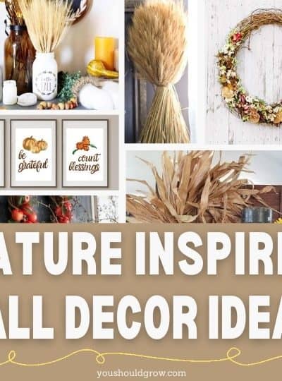 fall decorating ideas for 2020 feature