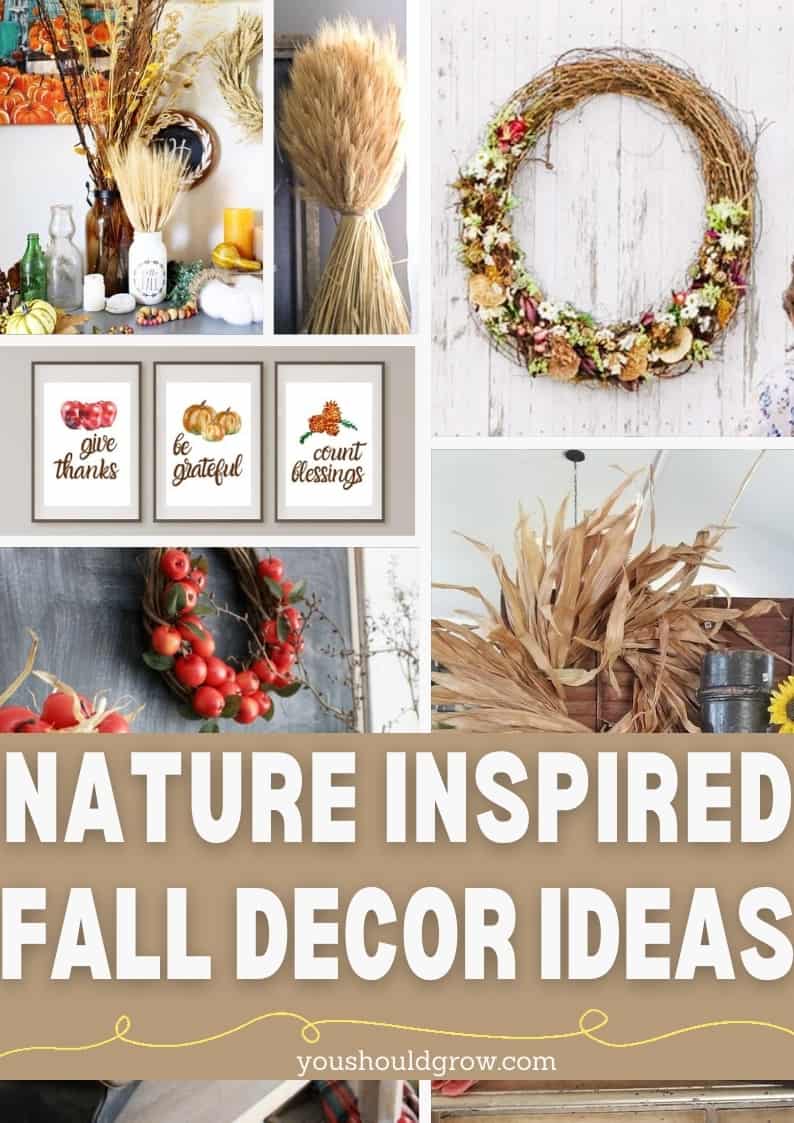 This autumn, natural elements are trending in decor for 2020. Take a look at these fall decorating ideas inspired by nature.