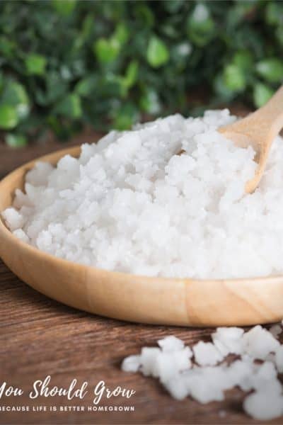 epsom salt in garden featured image